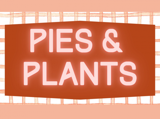 SCC Pies & Plants sale - Nov. 22