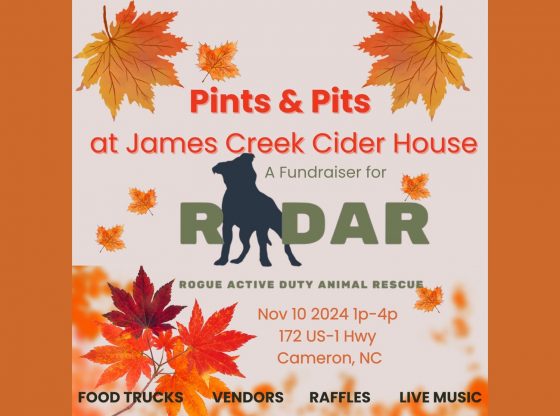 Pints & Pits - Nov. 10