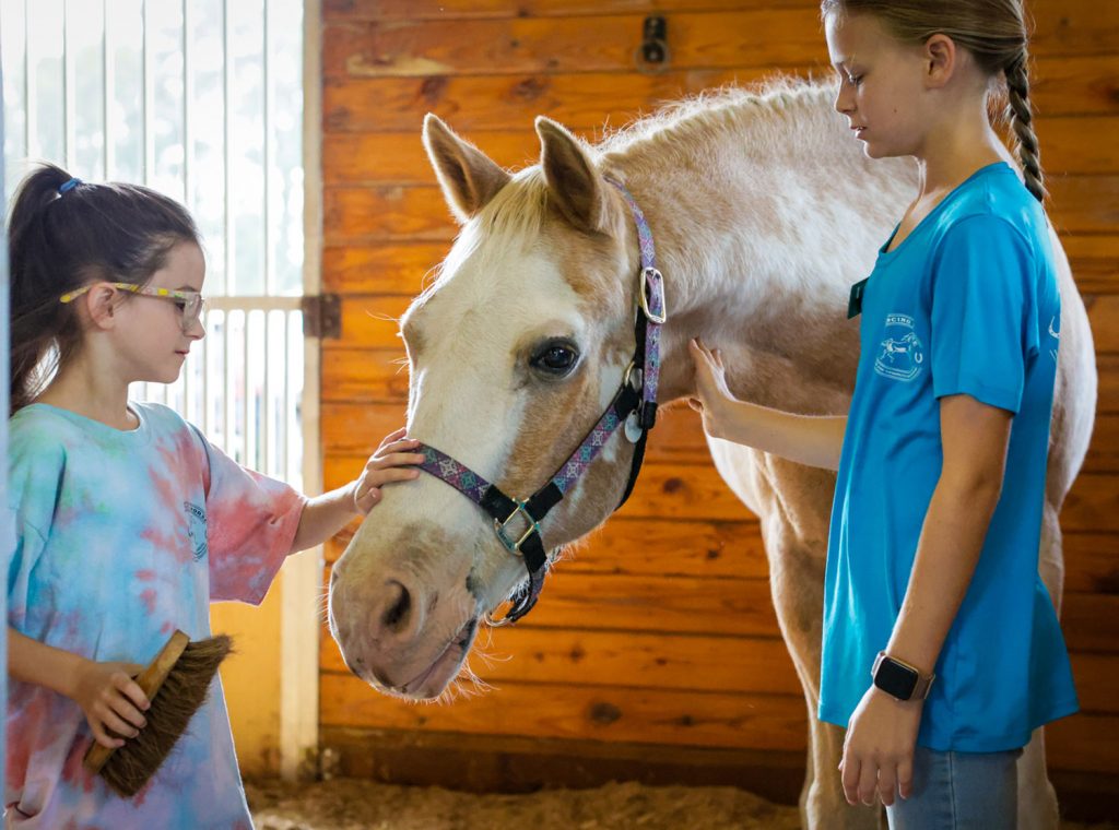 Prancing Horse's Buck nominated for USEF Heart Horse - Sandhills Sentinel