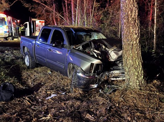 Driver runs stop sign, strikes tree in Cameron