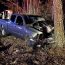 Driver runs stop sign, strikes tree in Cameron