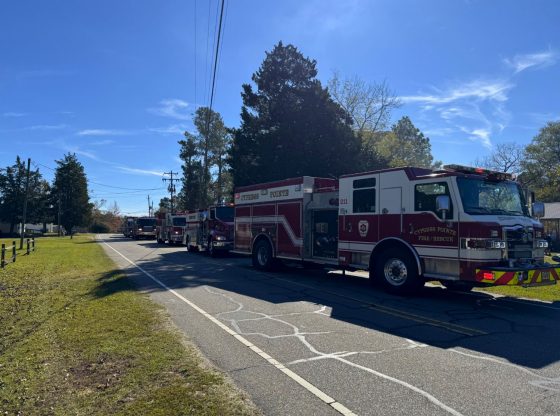 Firefighters save house from kitchen fire in Vass