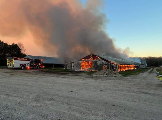 Thousands of chickens die in West End fire