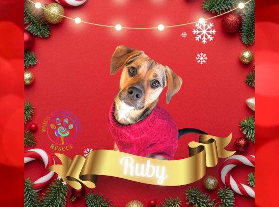 Adopt Ruby!