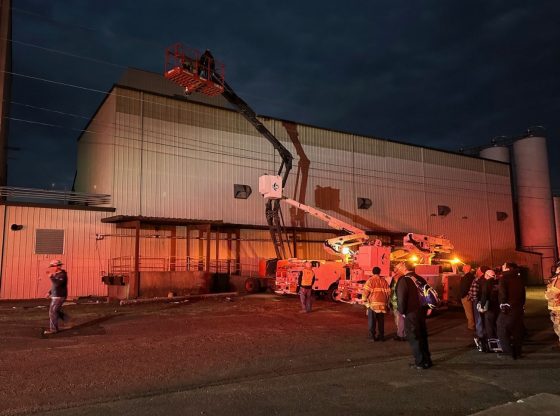 Worker trapped in lift 30 feet in air after striking power lines