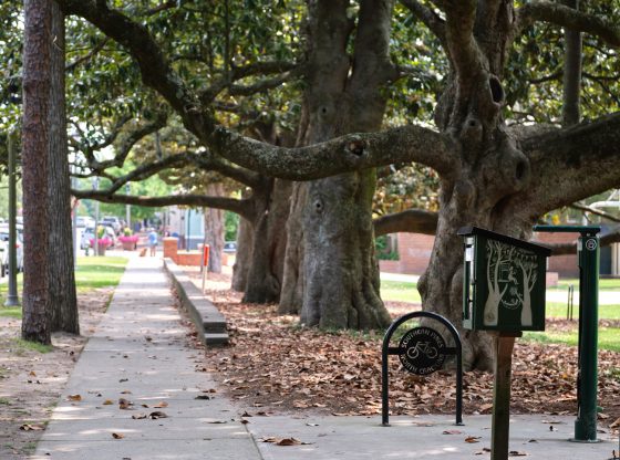 Southern Pines named Tree City 45 years in a row