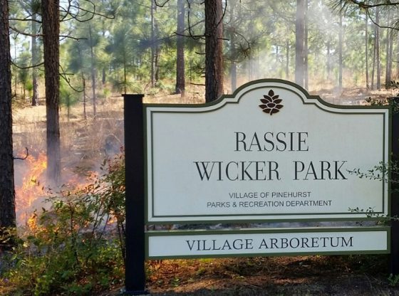 Village to conduct prescribed burn for the Arboretum at Rassie Wicker Park