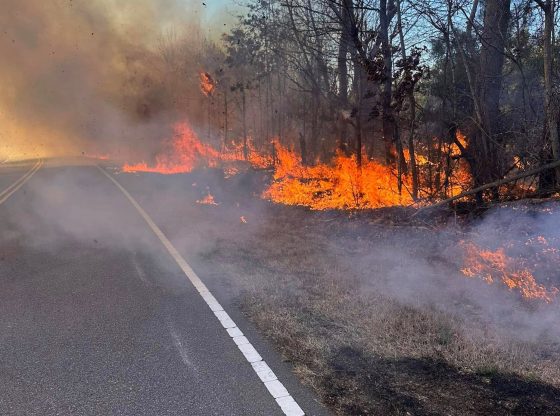 Crews battle woods fire on Old Glendon Road