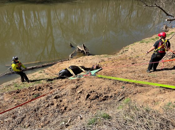 Horse rescued from Deep River