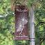 Southern Pines sets public hearings for draft budget