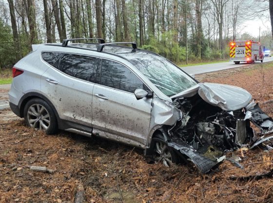 Driver loses control, strikes tree in Lobelia