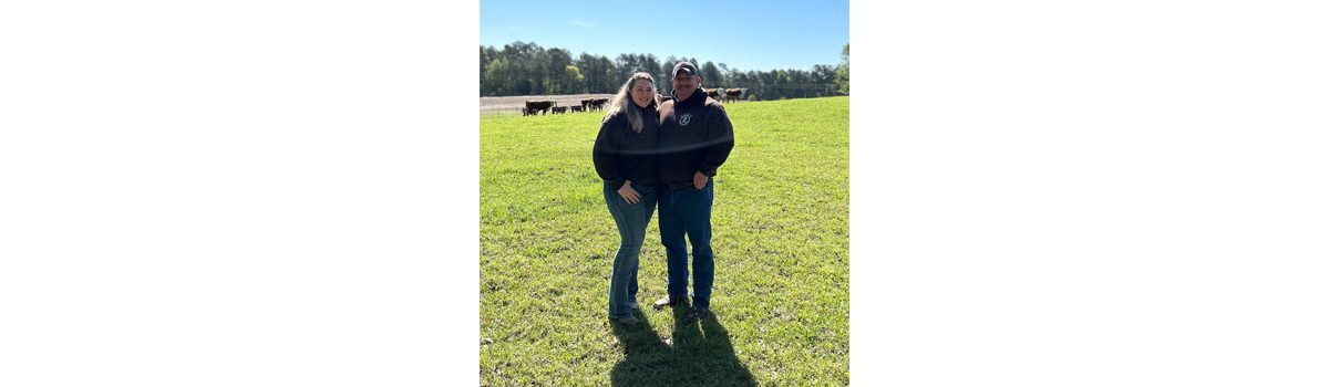 Round 2 Cattle putting quality before quantity