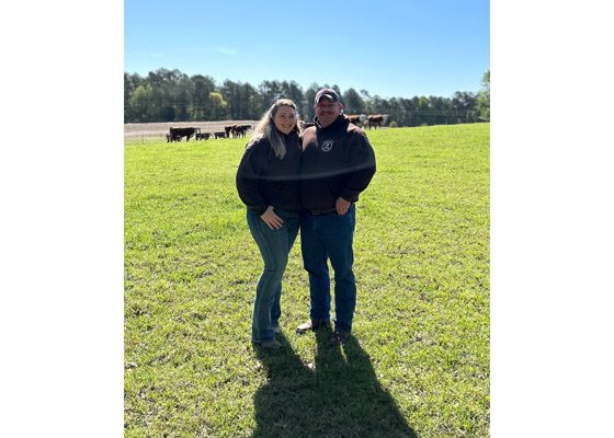 Round 2 Cattle putting quality before quantity