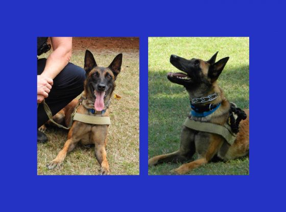 SP bids farewell to retiring K-9
