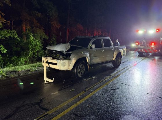 Man, dog uninjured after crashing into downed tree
