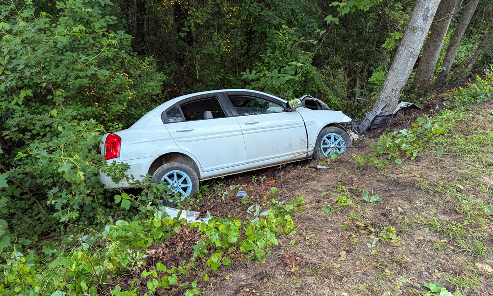 One airlifted after crashing into a tree down embankment near water
