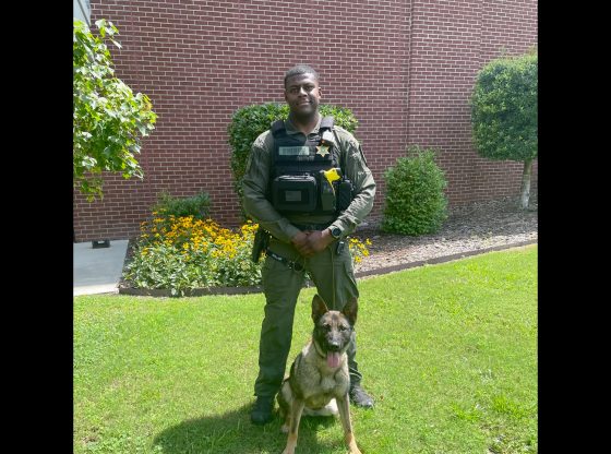 Sheriff's Office adds new K-9