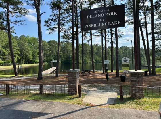 Child rescued from drowning at Pinebluff Lake
