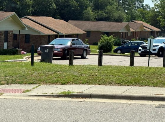 Dog found hanging lifeless from hot car