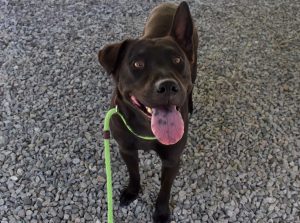 In the spawtlight: Meet Milo
