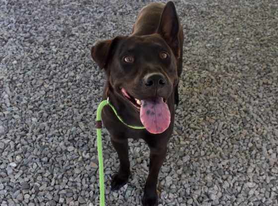 In the spawtlight: Meet Milo
