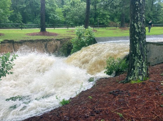 Southern Pines response to Tropical Storm Chantal