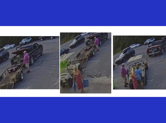 APD seeks information in stolen golf carts case