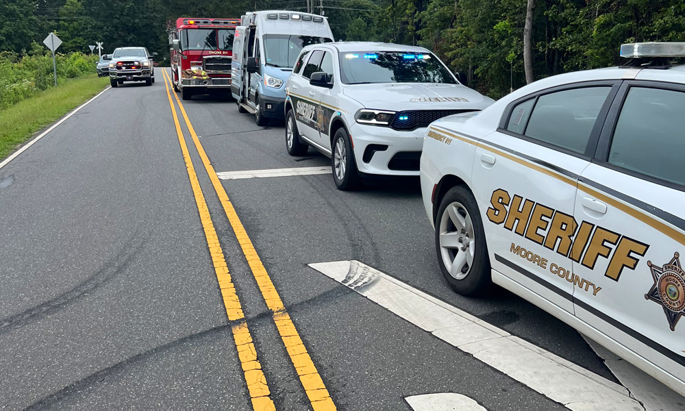 Several pets perish in fire