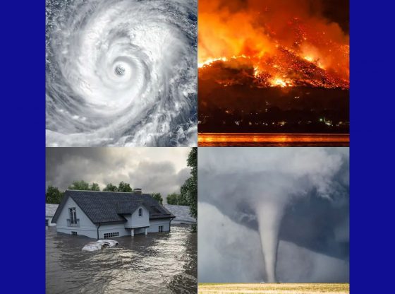 Regional Hazard Mitigation Plan - Public Survey