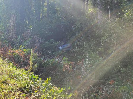 Two transported after car overturns in tree line near Aberdeen