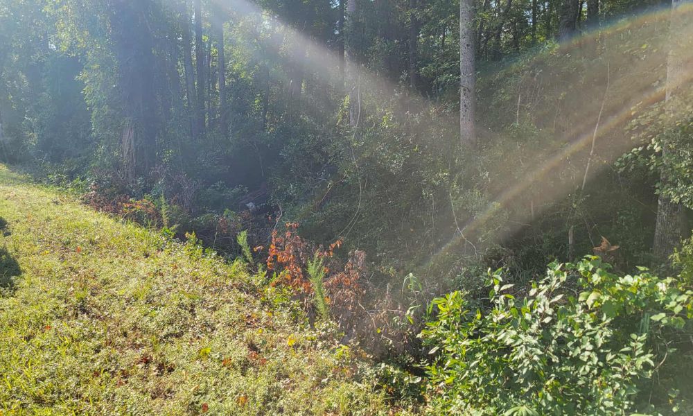 Two transported after car overturns in tree line near Aberdeen