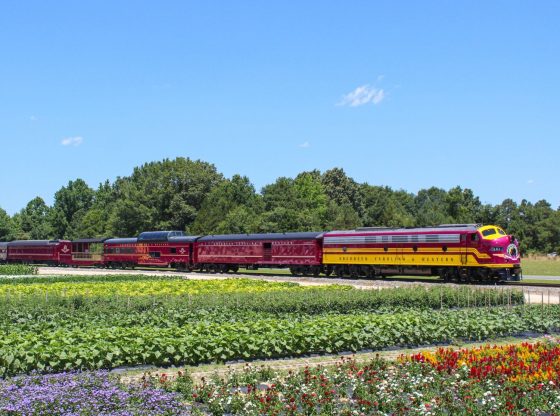 Rolling Brunch Train - Sept. 13, 14