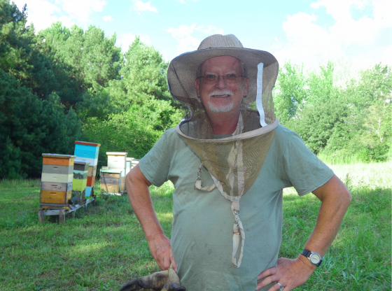 Something to buzz about: Celebrating 10 years of Dees Bees