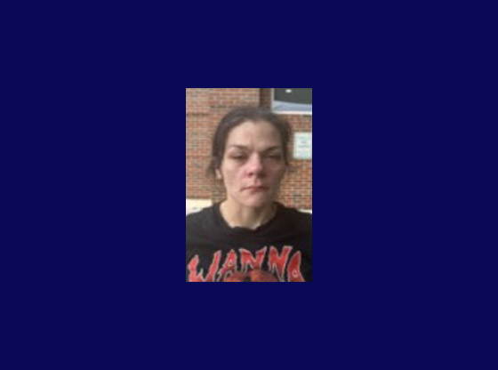 Woman facing several charges after fleeing from APD