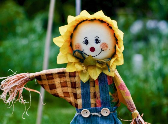 Inaugural Scarecrow Stroll at the Sandhills Horticultural Gardens