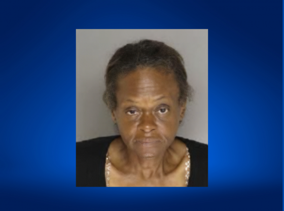Wagram woman facing charges in repeat rental theft case