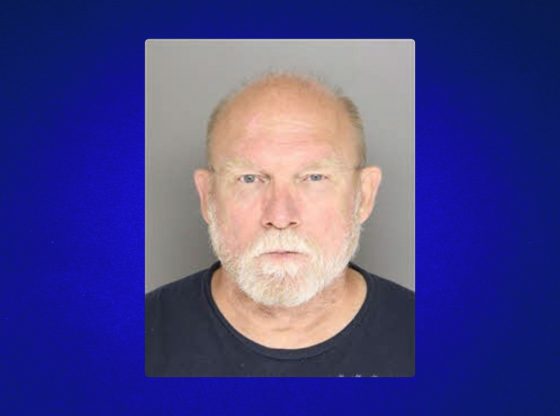 Man arrested after forensic specialists uncovered illegal files involving children