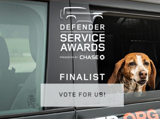 Lending Paws a Hand returns as finalist for national service award