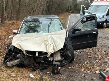 Driver loses control, crashes car into tree on Lobelia Road