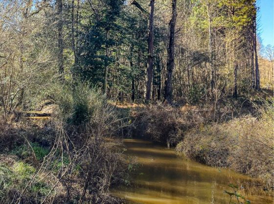 Moore family partners with Three Rivers Land Trust to conserve 147 acres