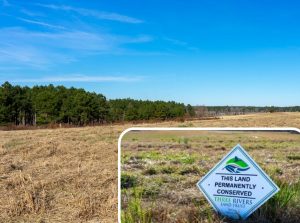 Three Rivers Land Trust conserves 770 acres of farm, forest in Harnett County