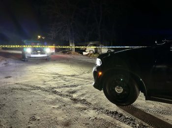 Dog killed, one injured in second drive-by shooting in two weeks