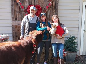 Century-old farm finds new life with Highland cows