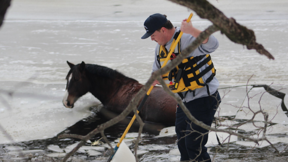Horse rescued after falling through ice in horse country
