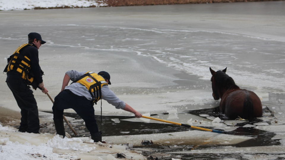 Horse rescued after falling through frozen pond surface