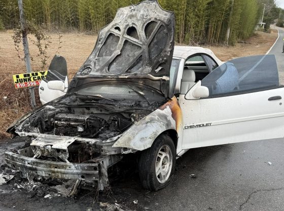 Pinebluff crews respond to vehicle fire