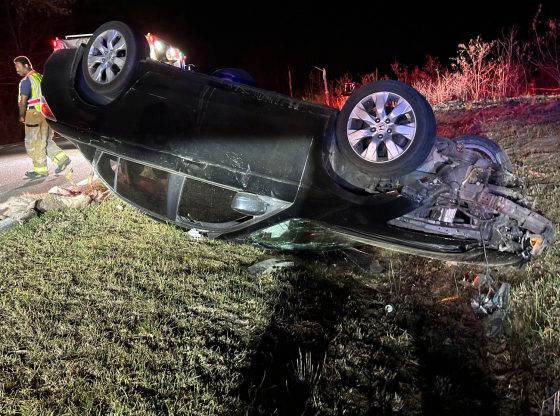 Driver taken to hospital after hitting deer on Thunder Road