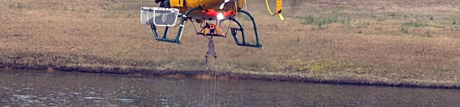 Multiple departments battle intense forest fire in Vass