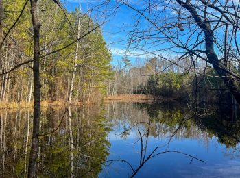 Moore County family preserves 467 acres in land trust