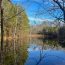 Moore County family preserves 467 acres in land trust